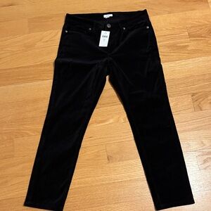 J. Jill Black Velvet Trousers